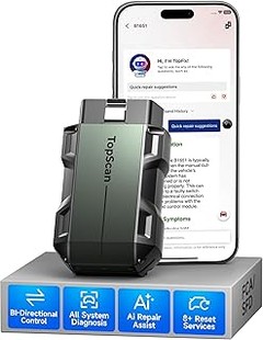 Instrucciones para resetear el DPF usando un escáner OBD2